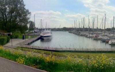 20150510_142953